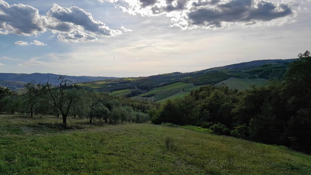 Holiday House Le Selvole Radda in Chianti Exteriör bild