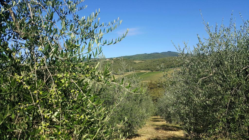 Holiday House Le Selvole Radda in Chianti Exteriör bild