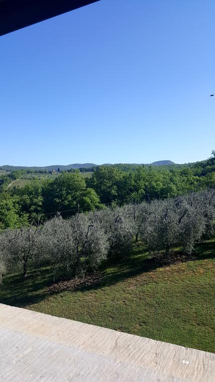 Holiday House Le Selvole Radda in Chianti Exteriör bild