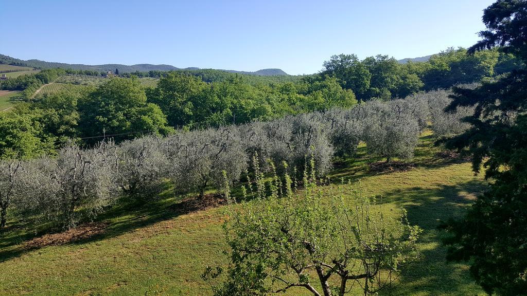 Holiday House Le Selvole Radda in Chianti Exteriör bild