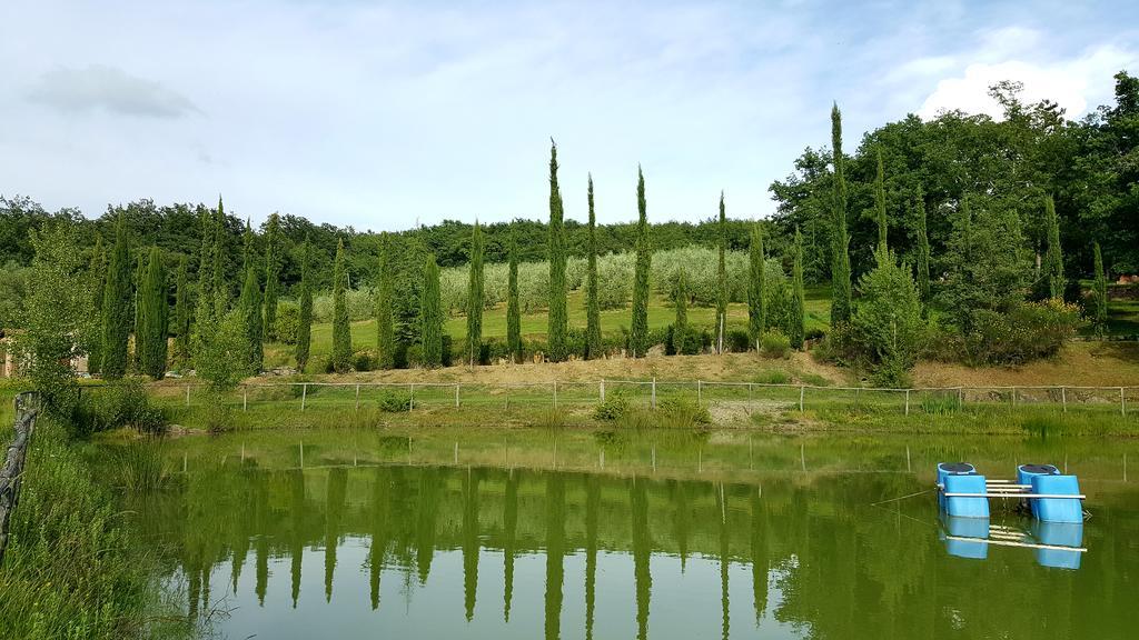 Holiday House Le Selvole Radda in Chianti Exteriör bild